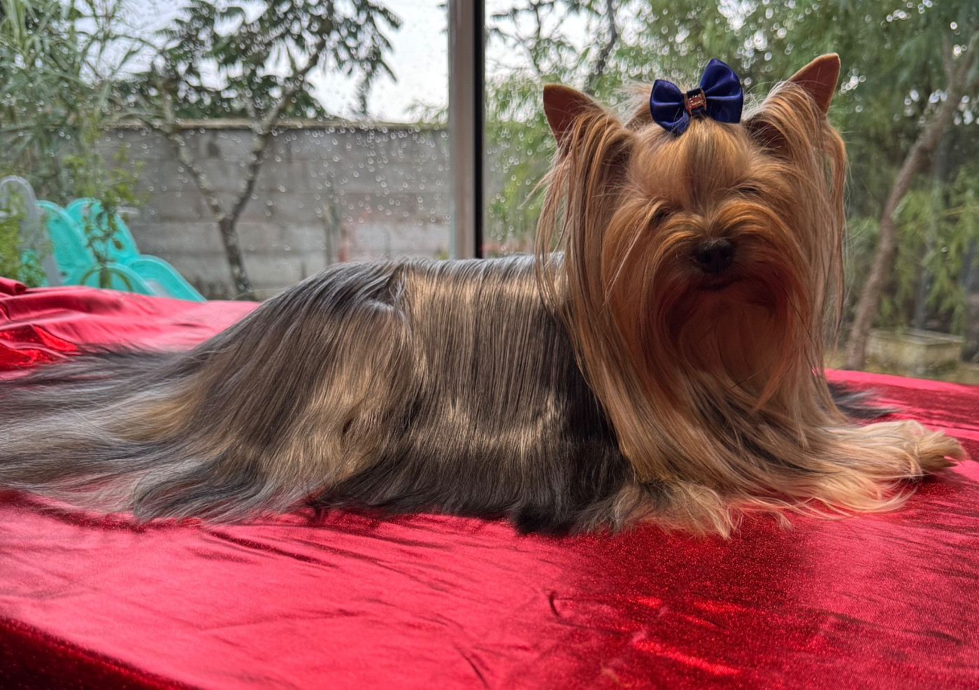 U love me Titre Initial